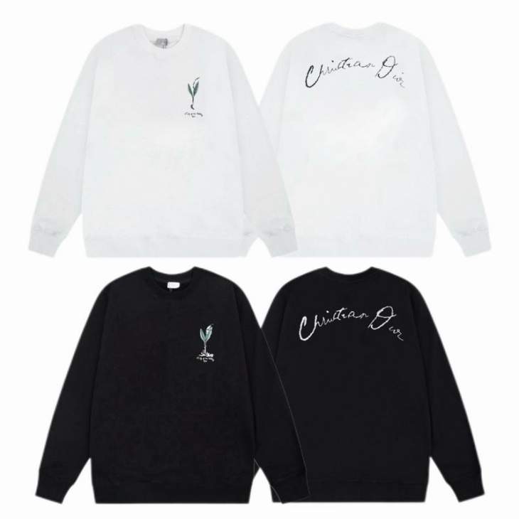 Picture of Dior Sweatshirt _SKUDiorXS-L55tx5031918